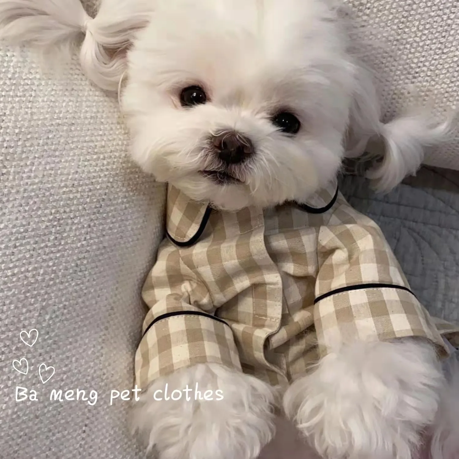 Camisa de cuadros para mascotas en color caqui