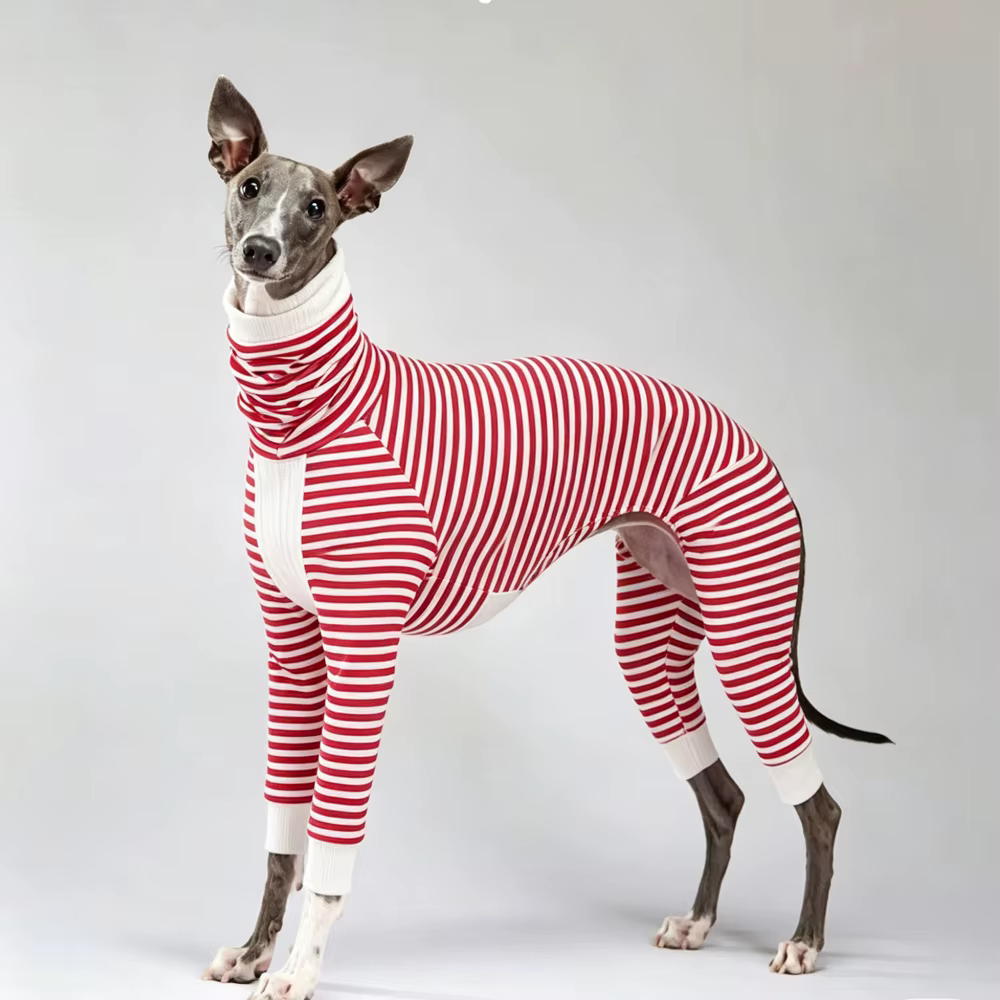 Sudadera a rayas para galgo y whippet cuello alto