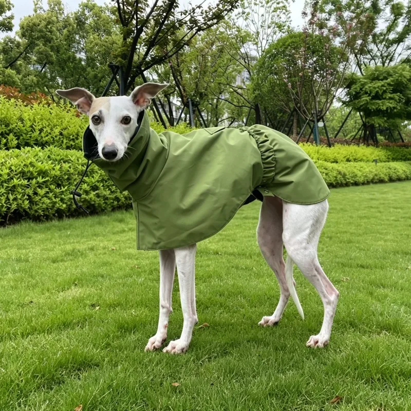 Impermeable para perros Whippet y Galgo, chubasquero cuello ajustable - imagen 2