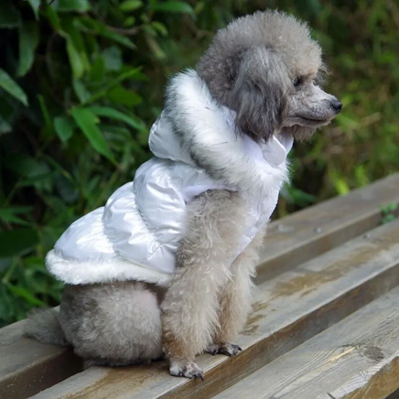 Abrigo acolchado con capucha para perros y chaqueta cálida para gatos - imagen 2