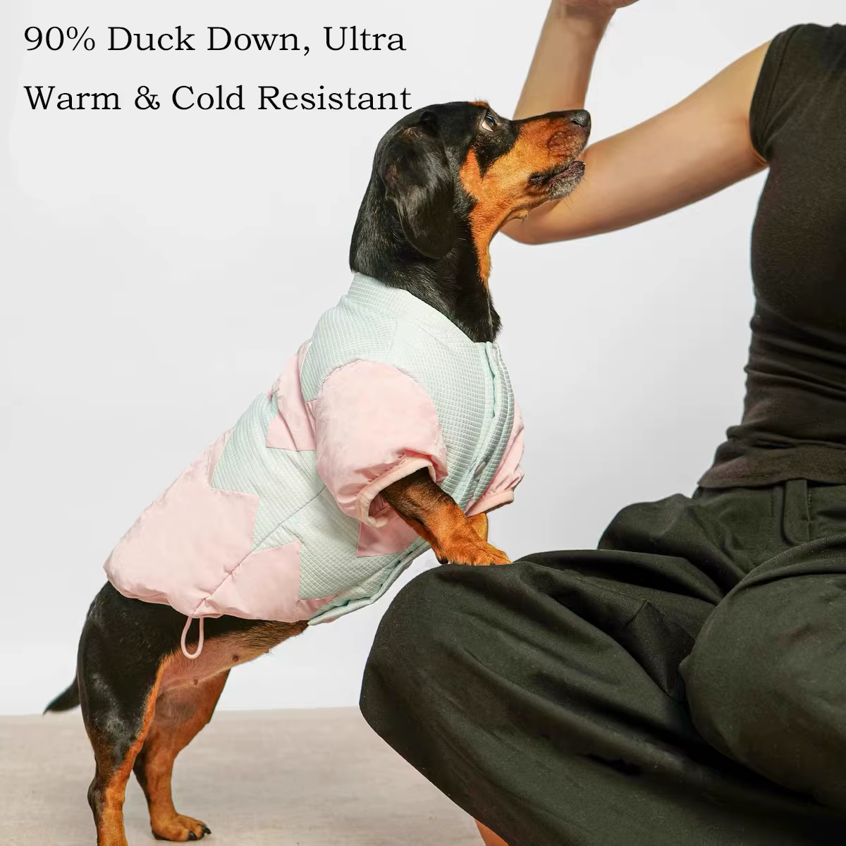 Chaqueta impermeable cálida para perros salchicha (wiener) - imagen 4