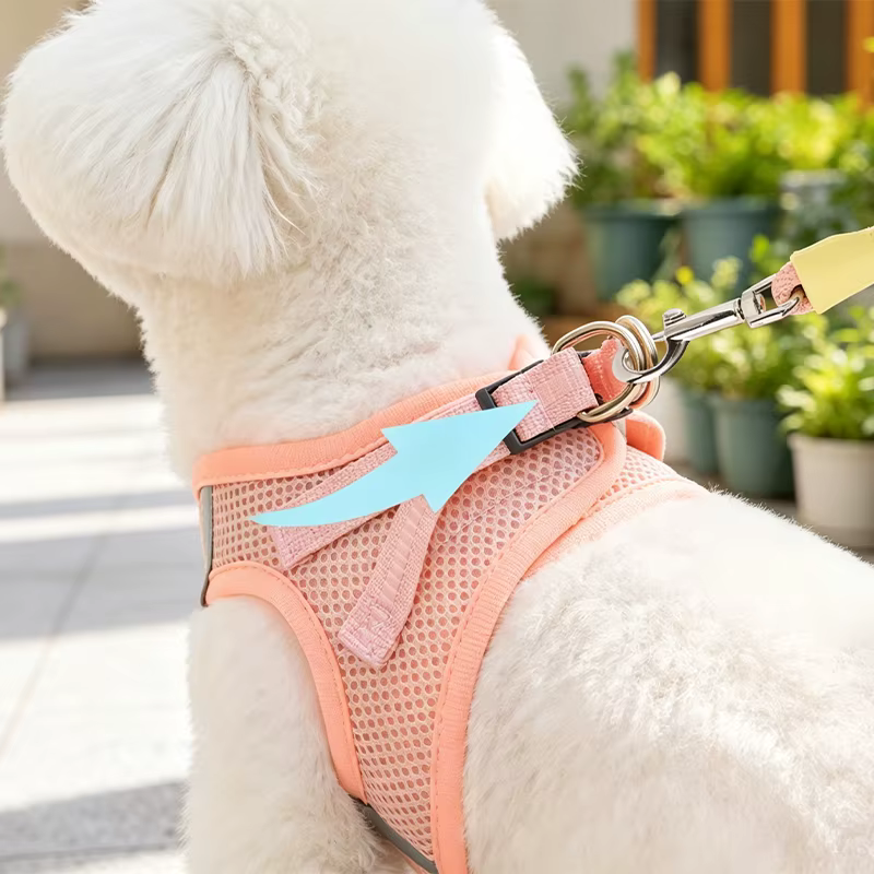 Mascota pequeña con arnes puesto en ambiente urbano