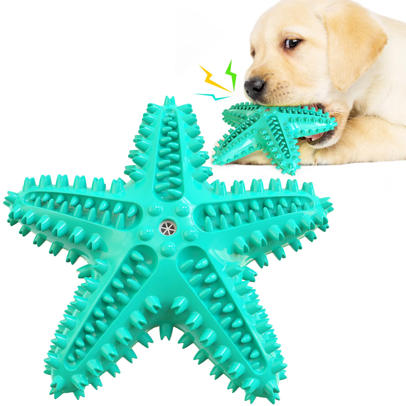 Estrella de mar masticable con forma atractiva