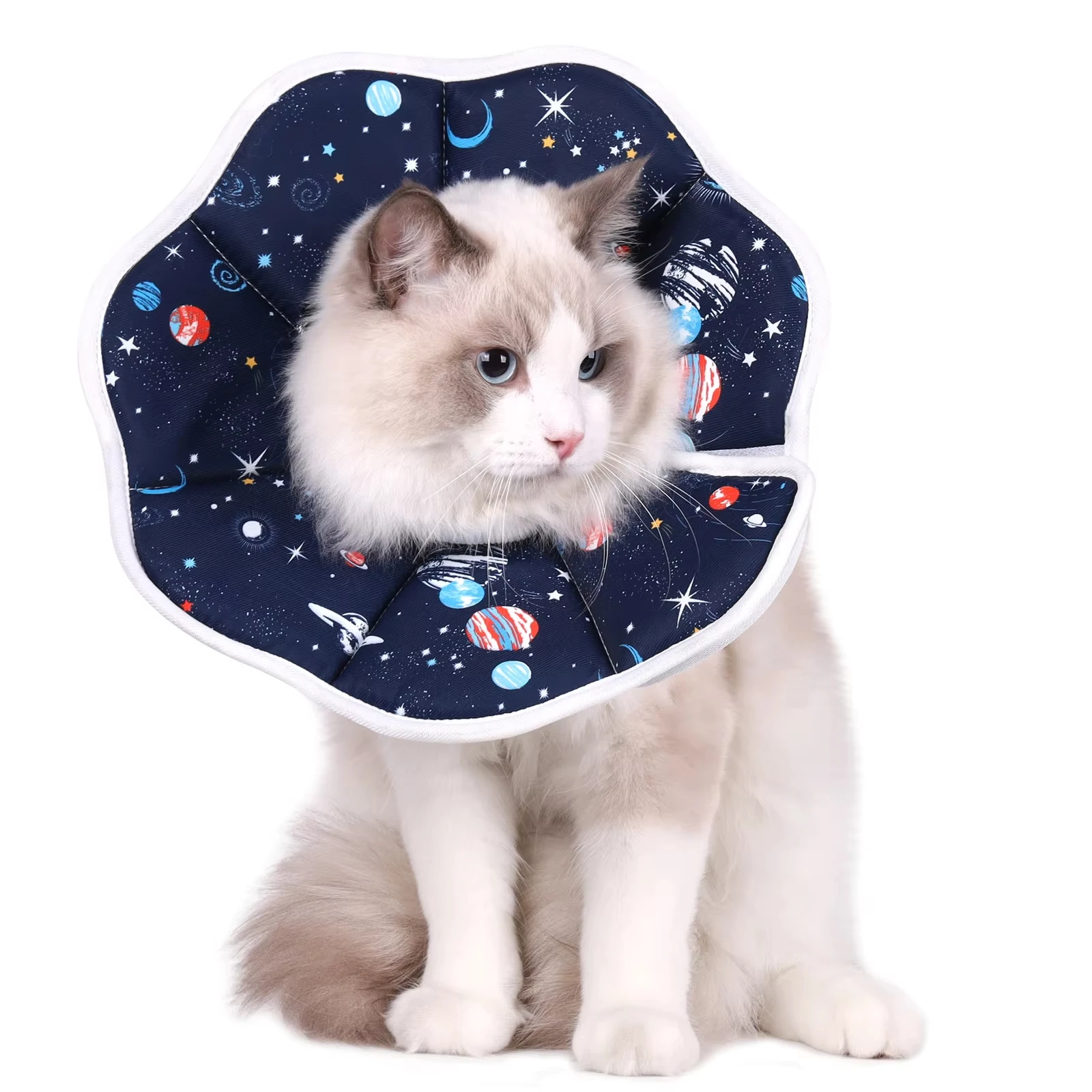 Funda protectora para gatos y perros con estampado de dibujos animados - imagen 3