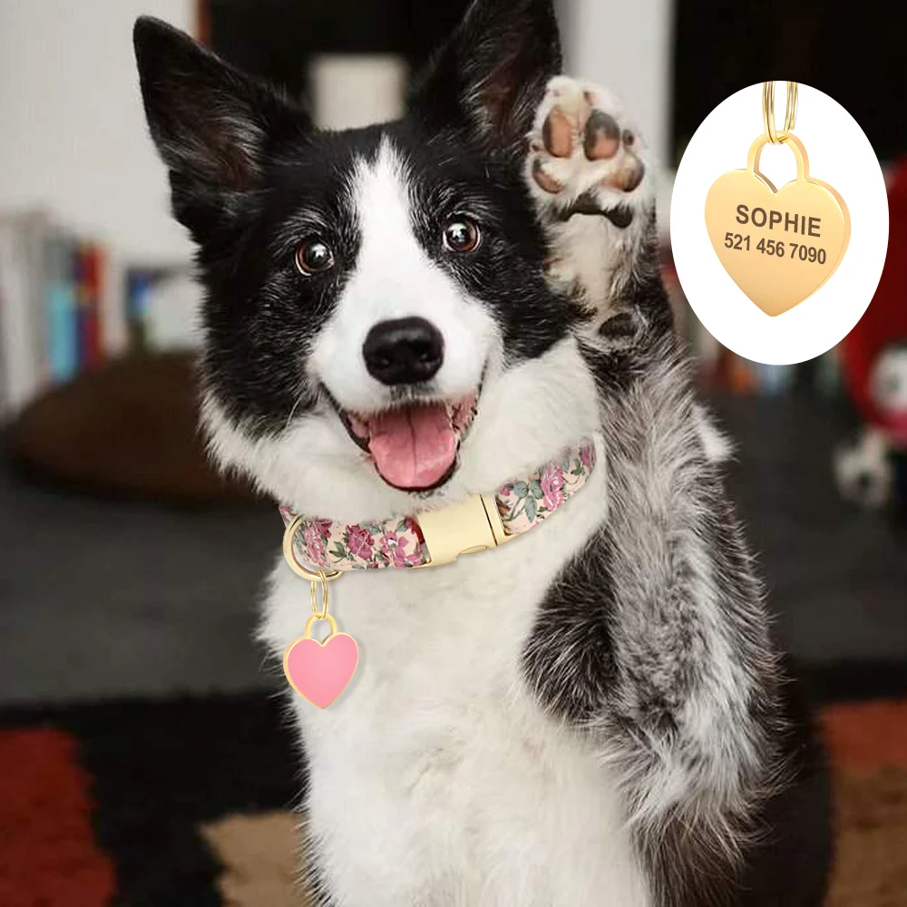 Collar de nailon con placa personalizada para perro – Ajustable y cómodo - imagen 4