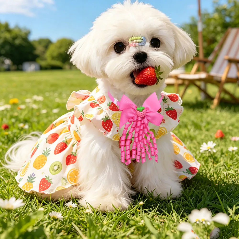 Lazos ajustables con diseño de frutas para perros y gatos de verano - imagen 2