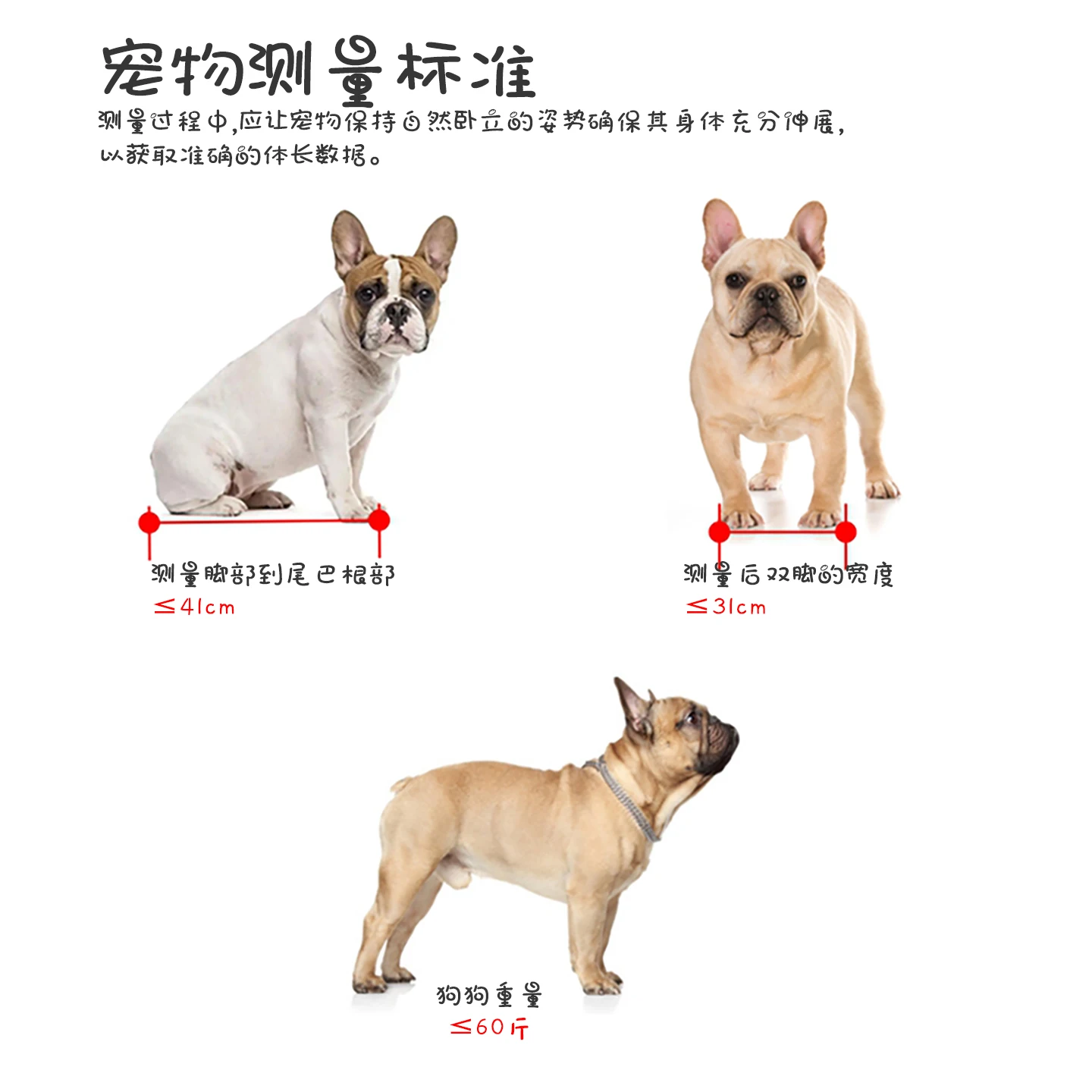 Cesta de coche para perros: asiento trasero y transporte seguro - imagen 3