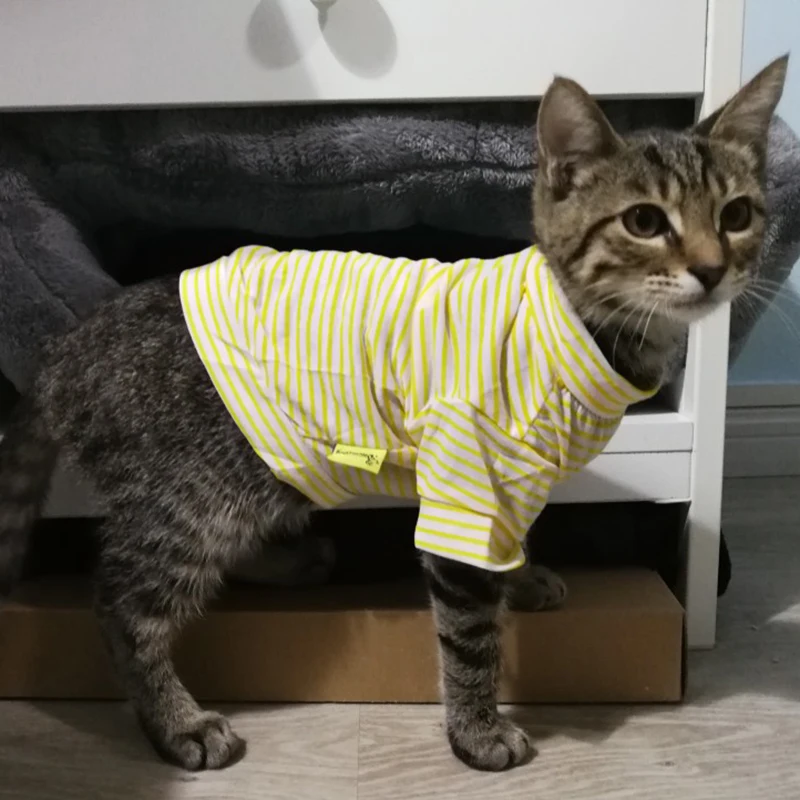 Chaleco de algodón para gatos con rayas - ropa fresca verano - imagen 2