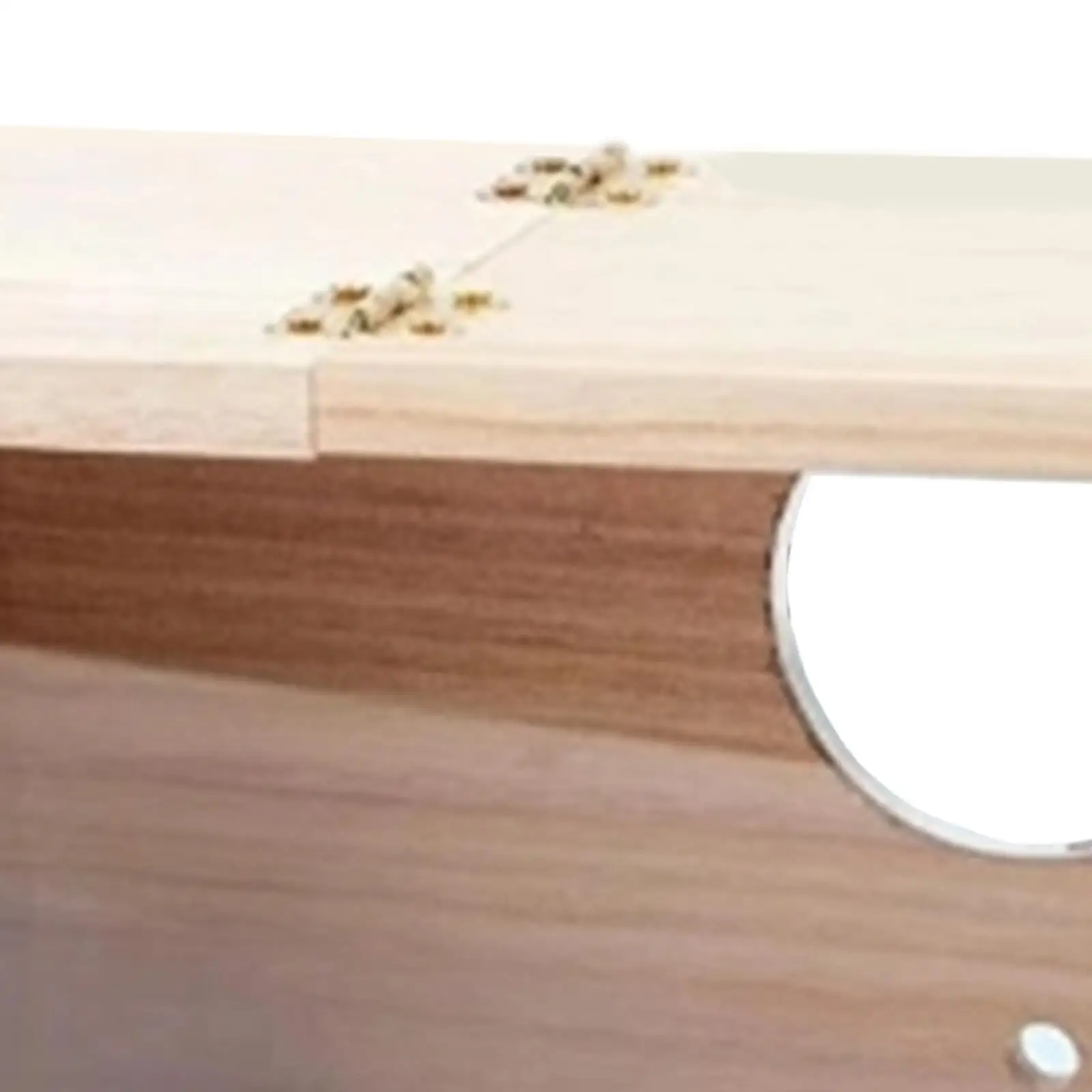 Caja de nido decorativa transparente en diferentes tamaños