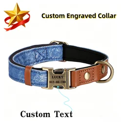 Conjunto correa y collar perros y cachorros con placa identificación