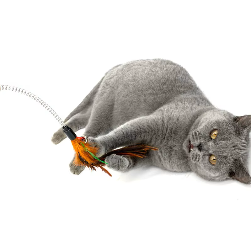 Varita Interactiva para Gatos con Plumas, Campana y Muelle Oscilante - imagen 5