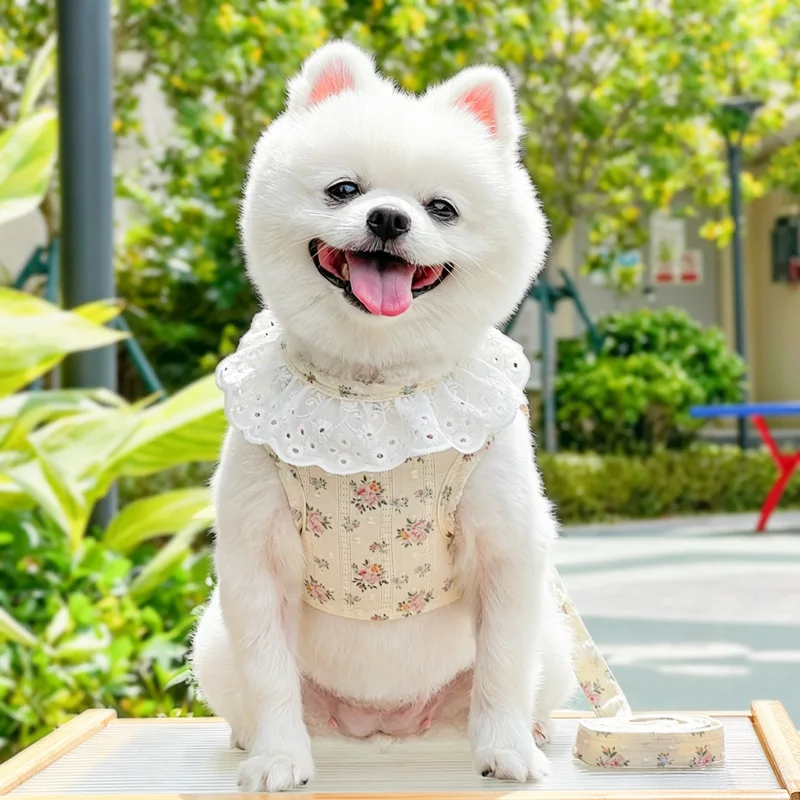 Arnés floral y correa para perro – chaleco encaje Chihuahua - imagen 3
