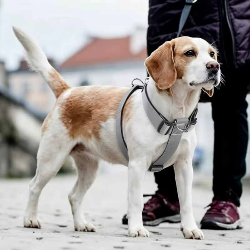 Arnés ajustable anti-escape para perro y gato - imagen 4