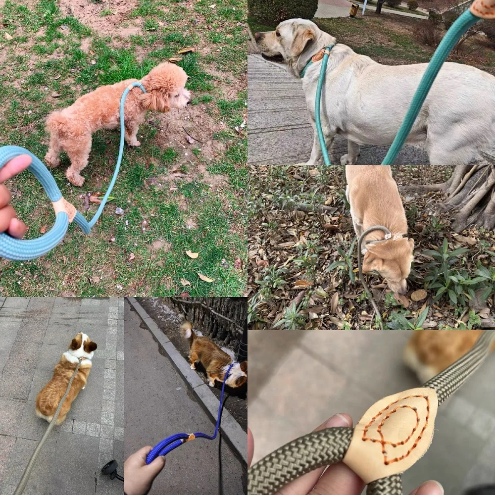 Correa reforzada para mascotas en uso urbano
