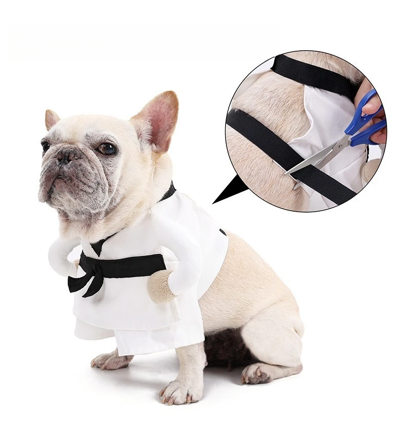 Disfraz Halloween para mascota