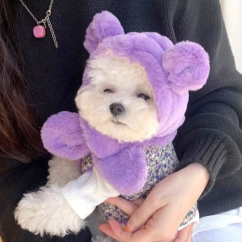 Chaqueta bonita para cachorros en look elegante