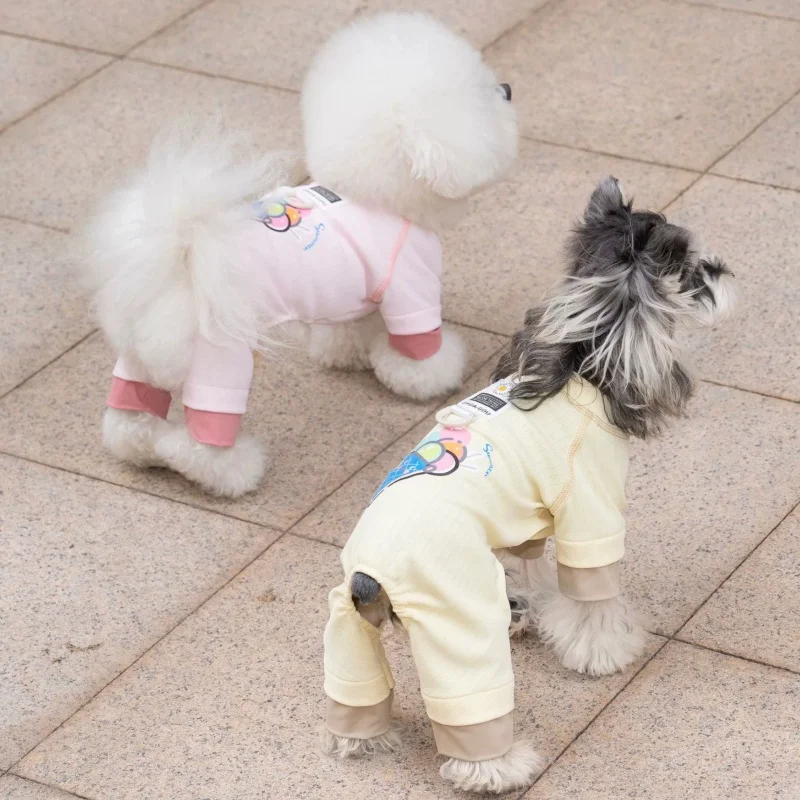 Mono puesto en un cachorro durante un paseo
