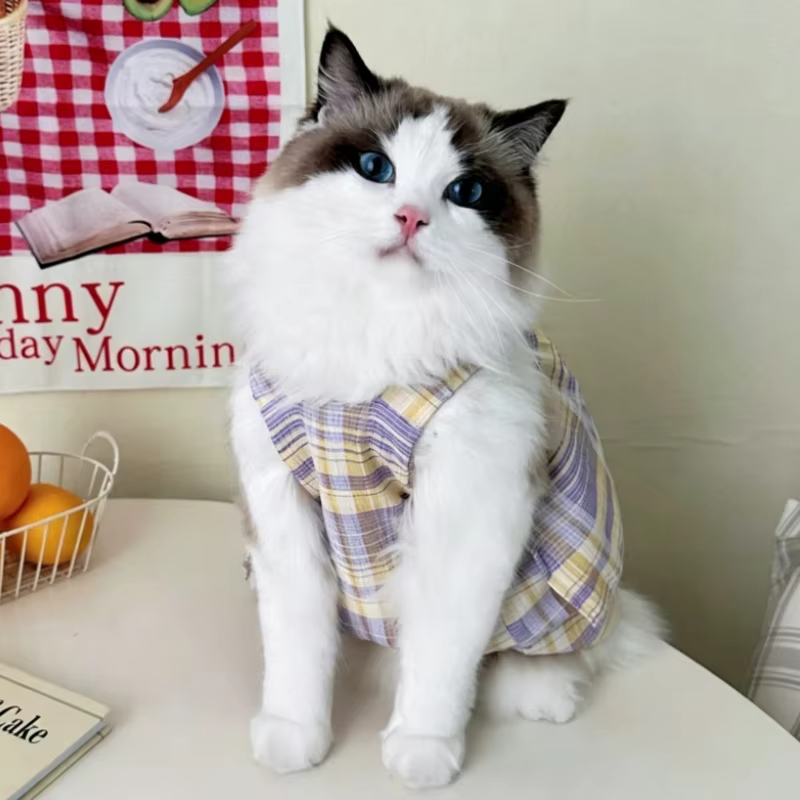 Vestido de princesa a cuadros con volantes para perros y gatos - imagen 5