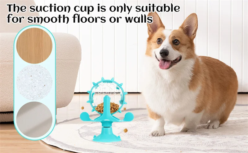 Mascota interactuando con el dispensador