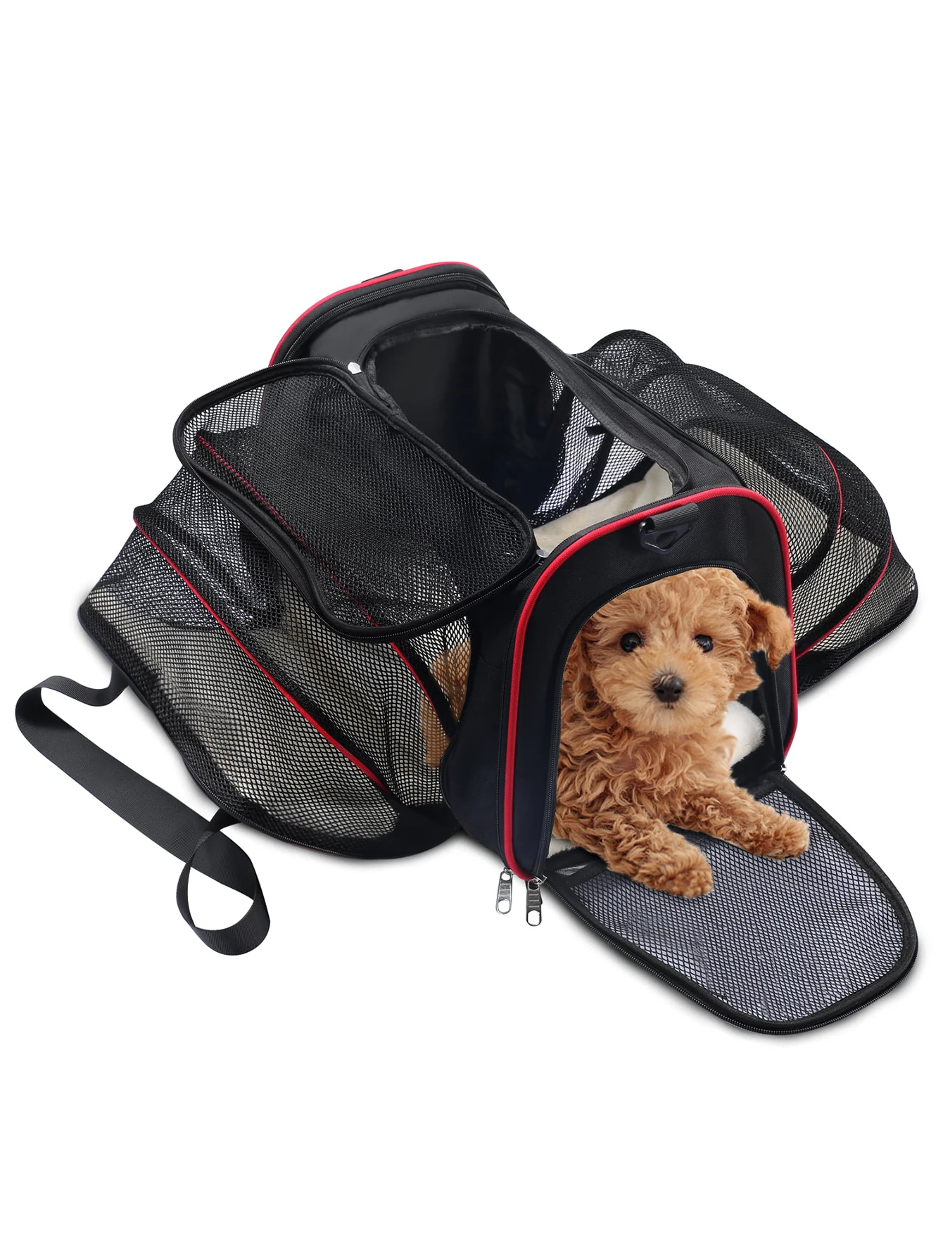 Transportadora expandible extra grande para mascotas