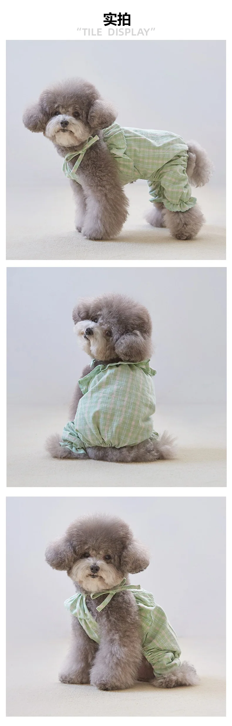Perro usando la ropa en exteriores