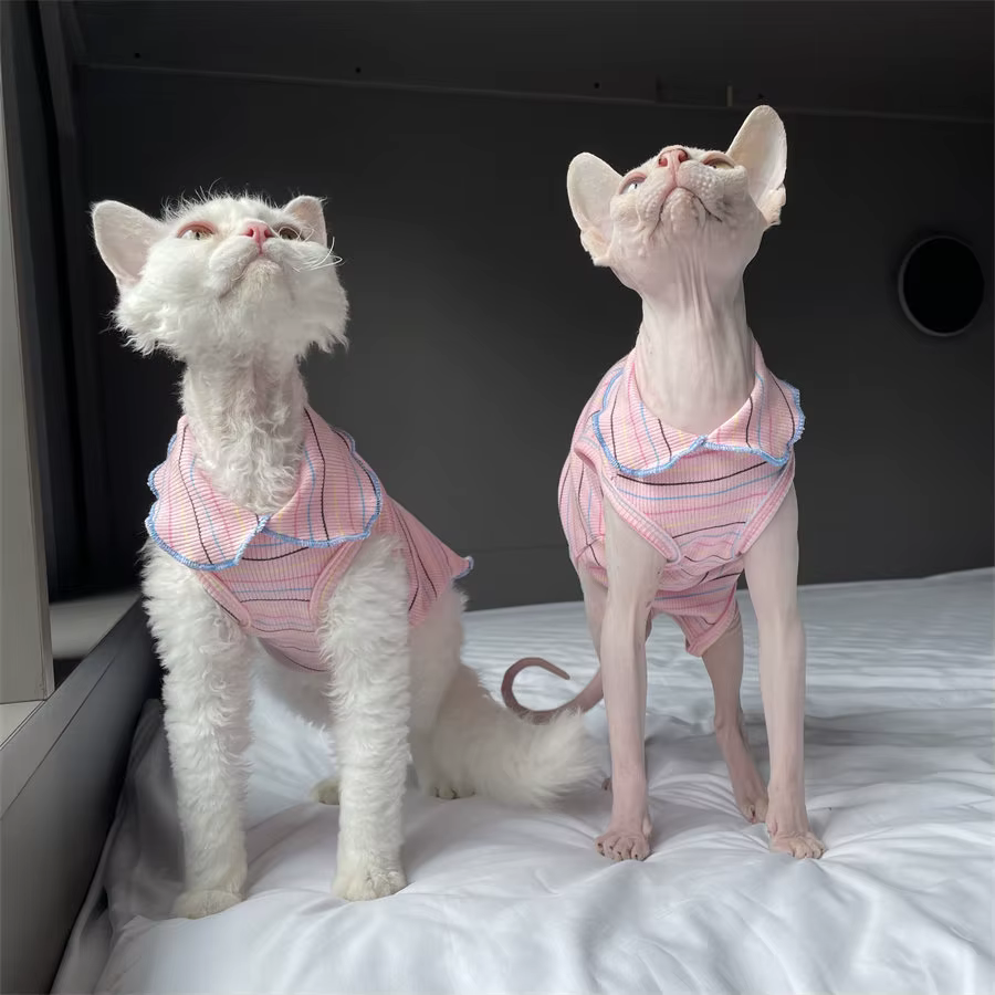 Ropa para gatos Sphynx: camiseta suave algodón a rayas, broche