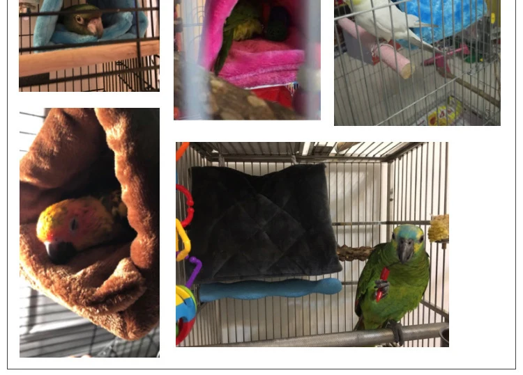 Cabaña y refugio en jaula