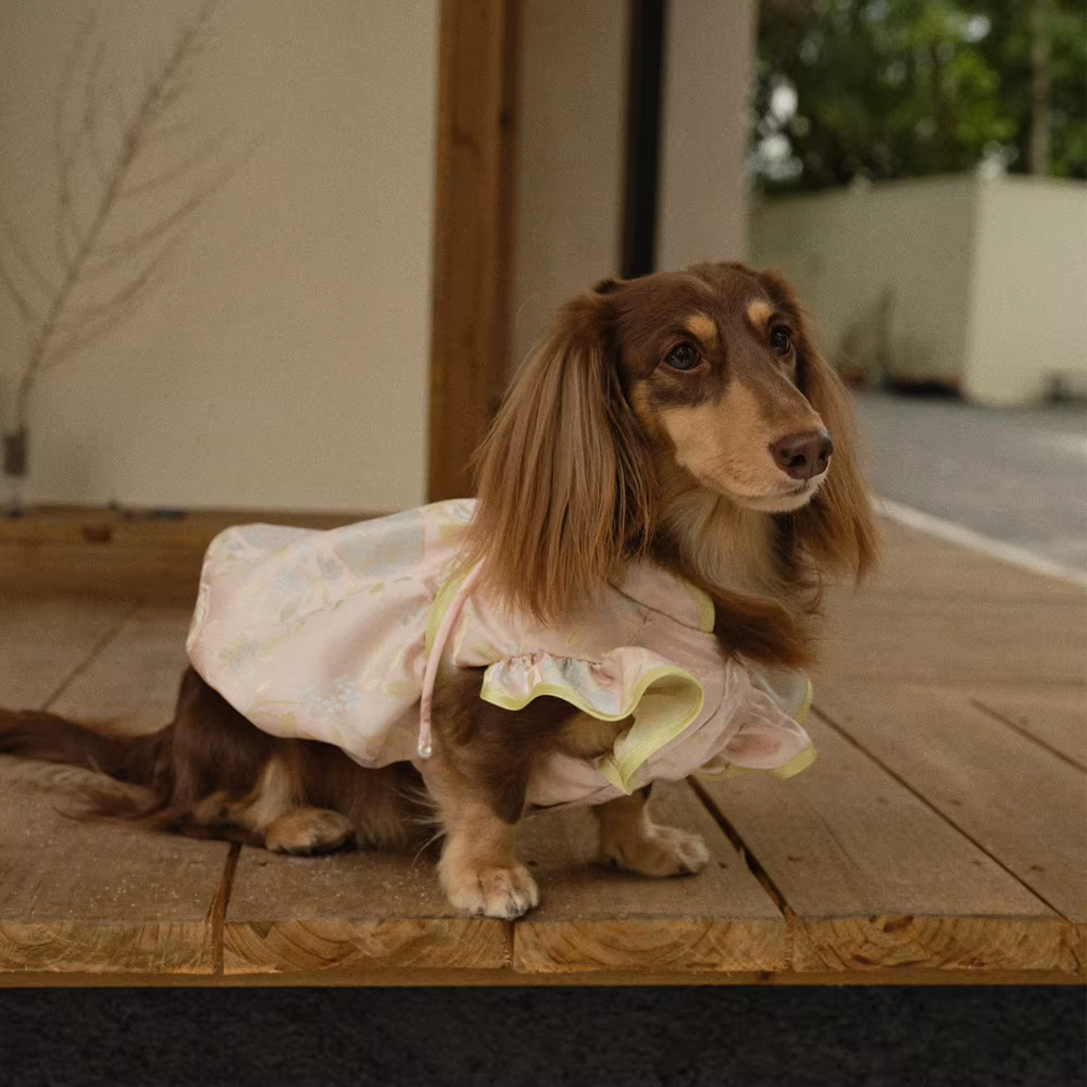 Vestido Cheongsam suave con lazo y perlas para teckel o perro mini - imagen 5