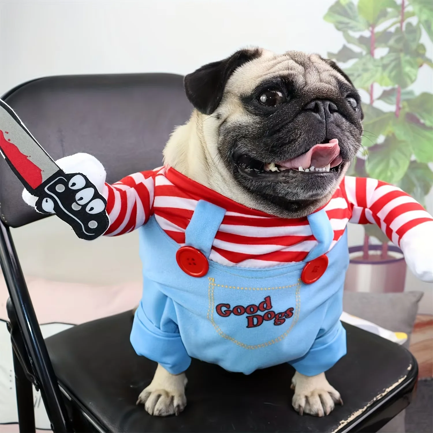 Disfraz Chucky para Perro – Peluca de Halloween para Perros Medianos - imagen 4