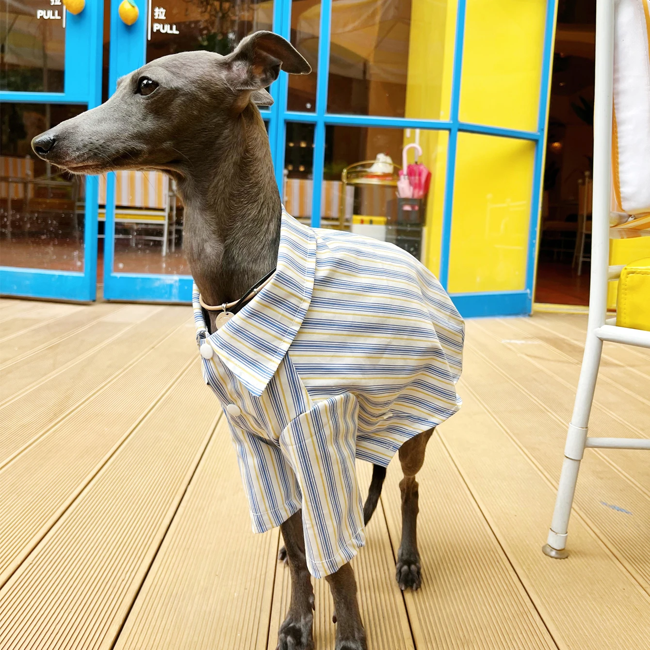 Detalle de los acabados y costuras de la camisa para perro