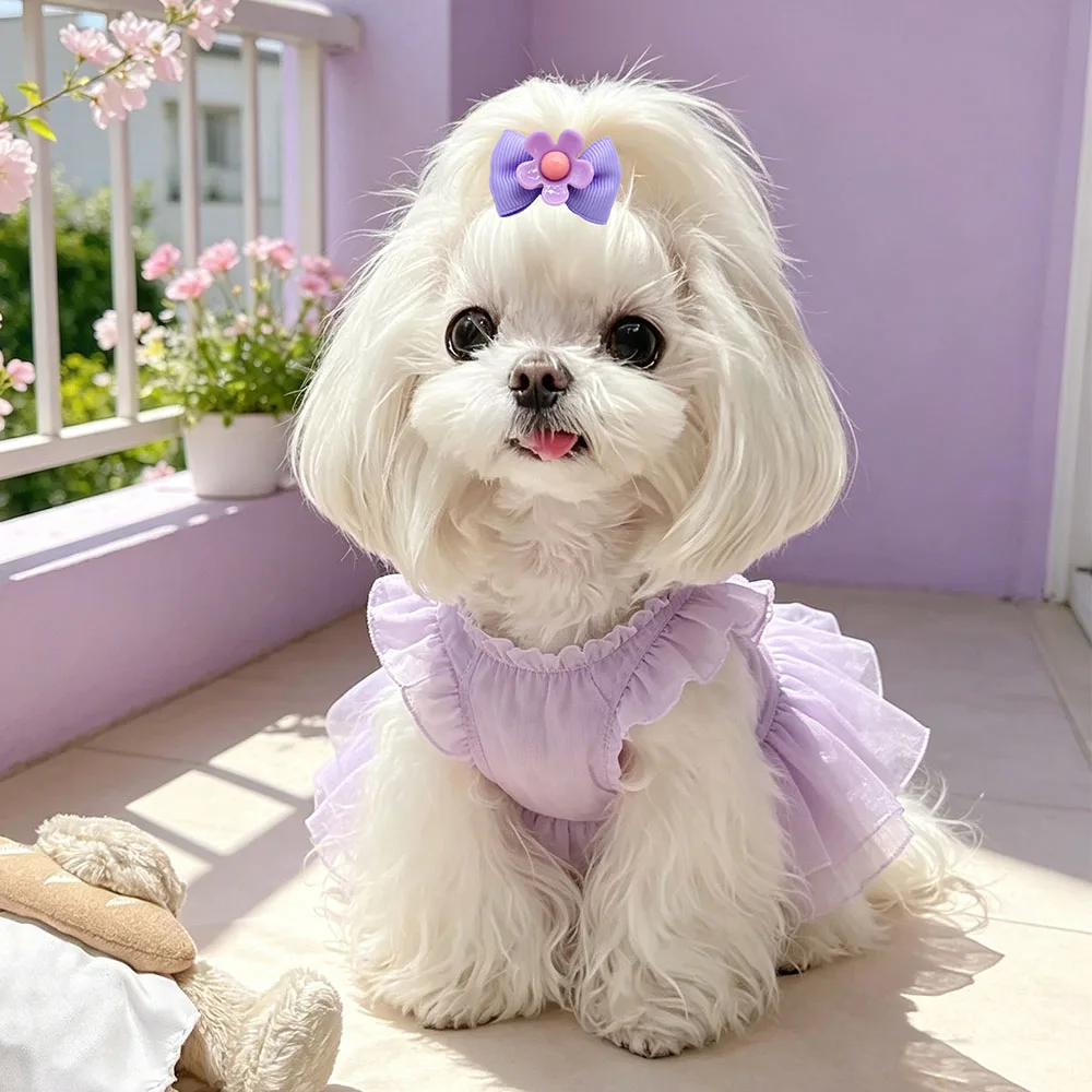 Lazos con flores y bandas elásticas para cachorros, adorno seguro - imagen 4