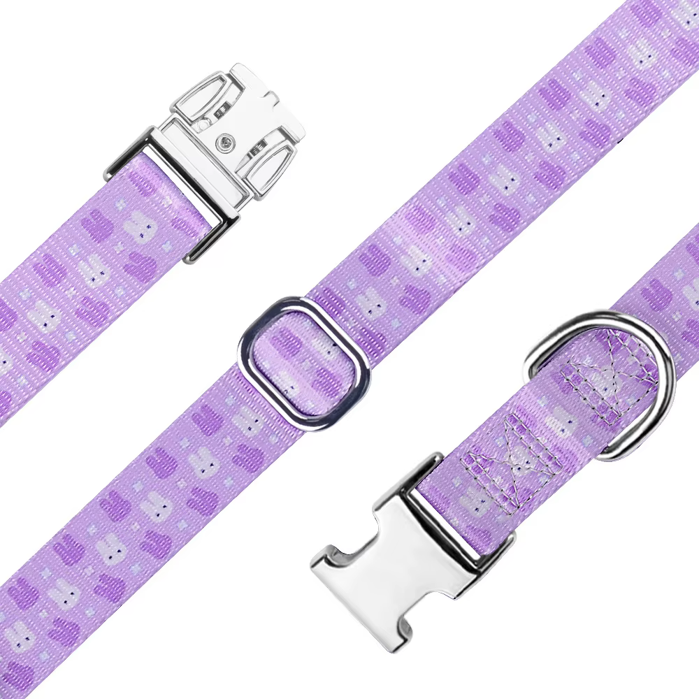 Collar estampado para perros y gatos, ajustable y antiescape