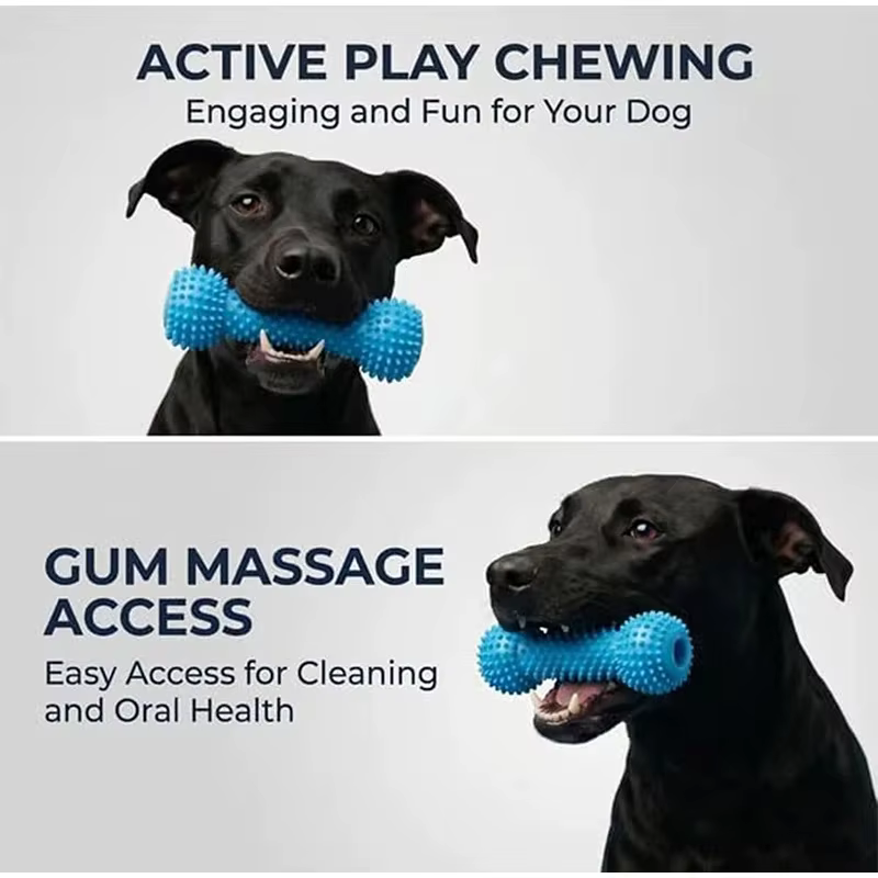 Juguete dental de doble acción para perros, masticable