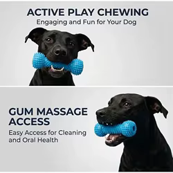 Juguete dental de doble acción para perros, masticable