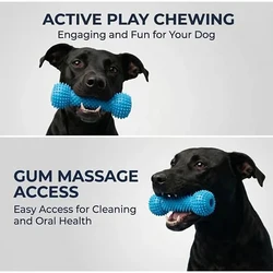 Juguete dental de doble acción para perros, masticable