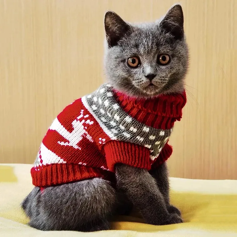 Gato modelo usando suéter gris con detalle de pespunte