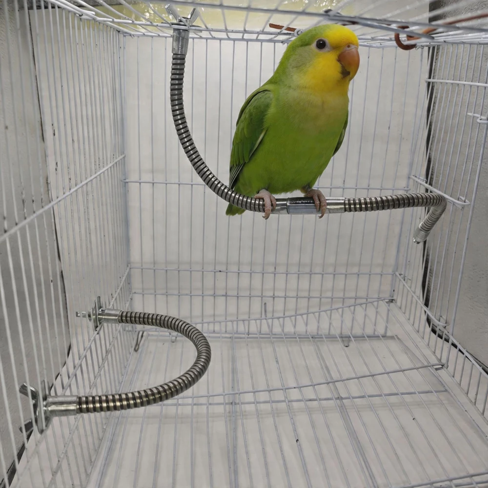 Soporte flexible de acero inoxidable para loros, juguete curvable - imagen 2