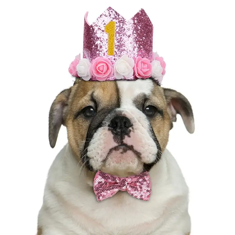 Accesorios de fiesta para mascotas - gorros navideños