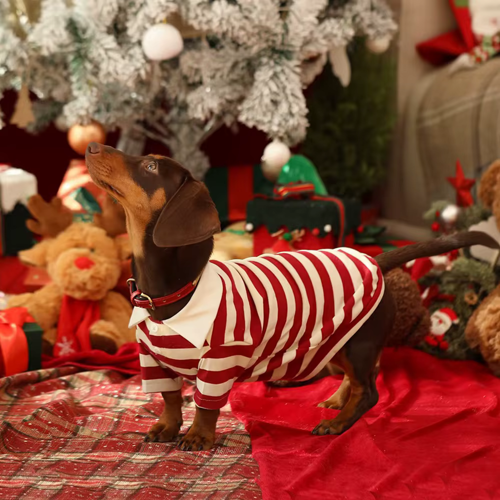 Polo a rayas de algodón suave para perros salchicha mini primavera - imagen 5