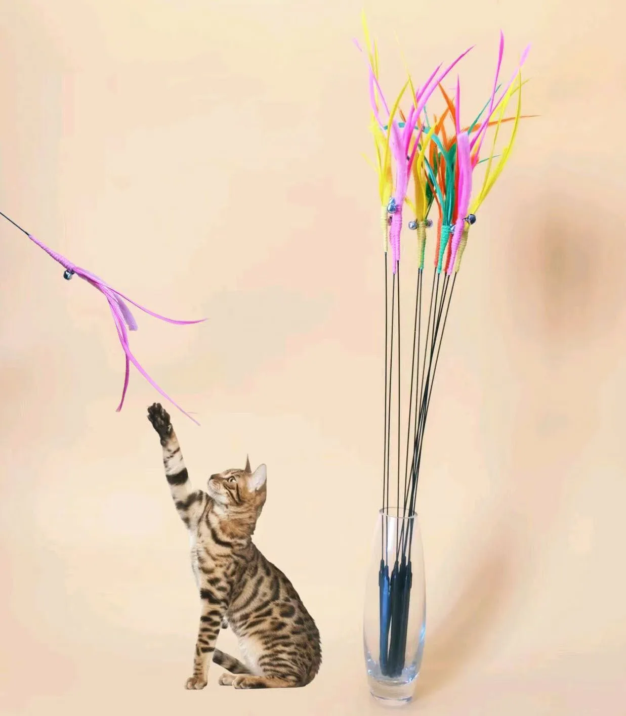 Gato jugando con palo teaser de plumas
