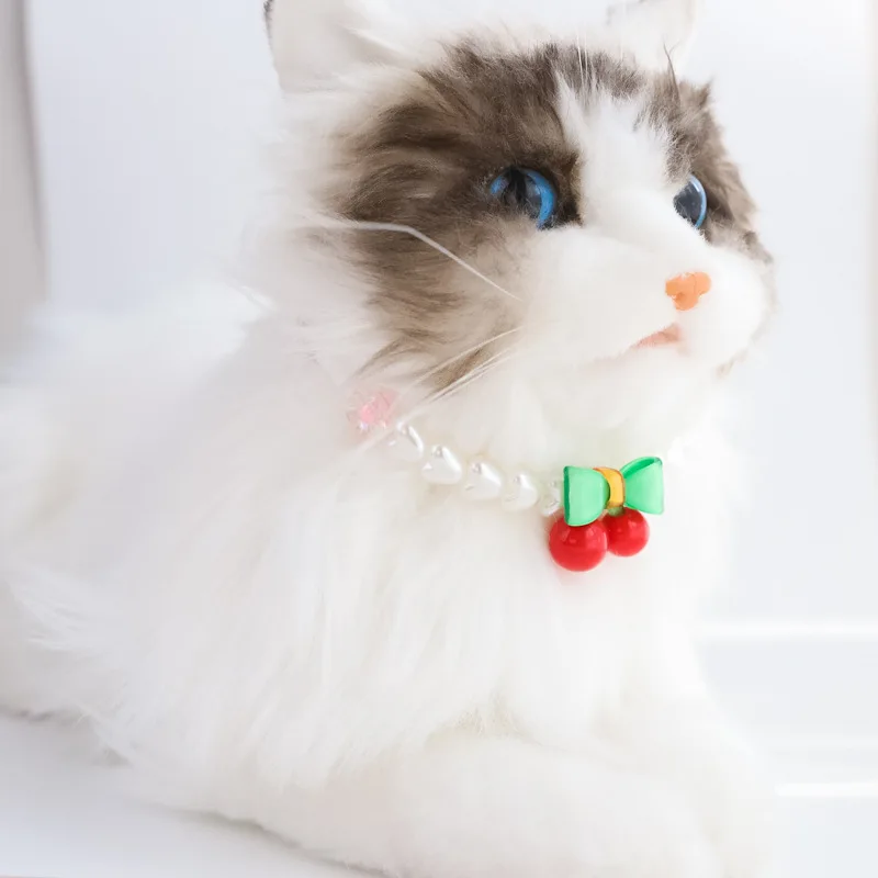 Uso del collar en mascota