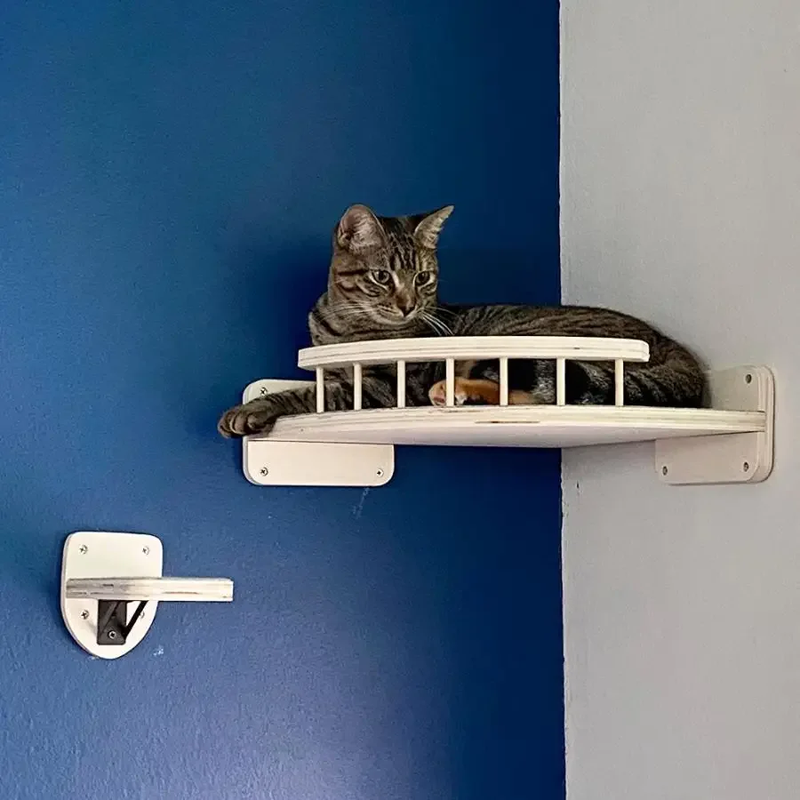 Plataforma de salto para gatitos