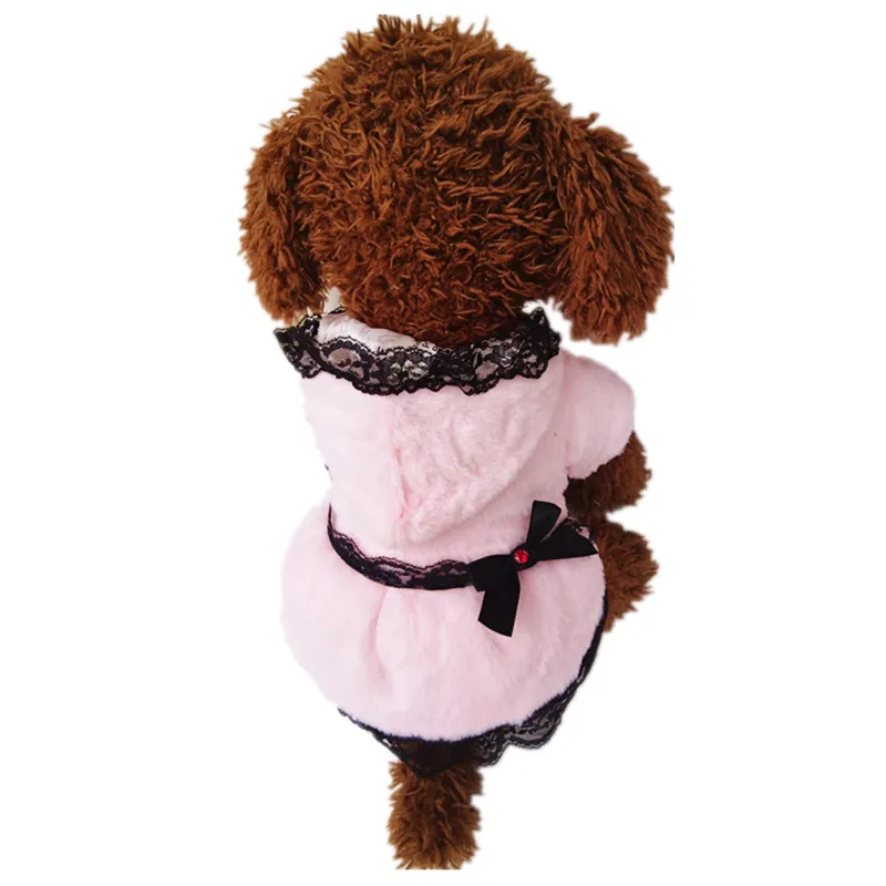 Perro con sudadera en interior cálido