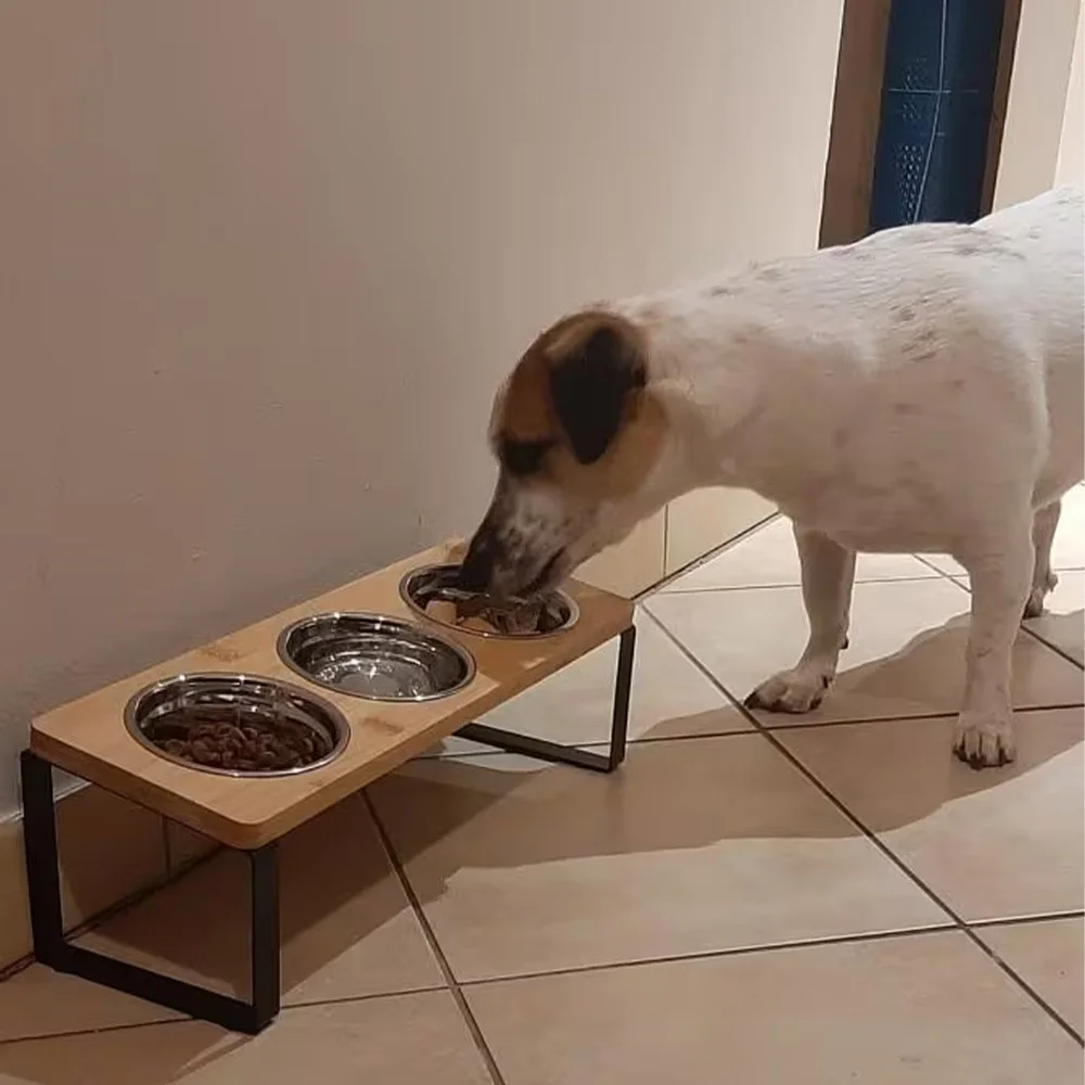Comedero elevado inclinado para gatos y perros pequeños, con acero - imagen 5