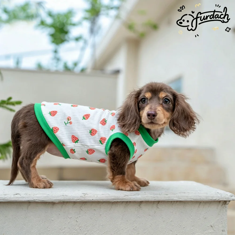 Chaleco suave de algodón para perros salchicha – estilo fresa - imagen 4