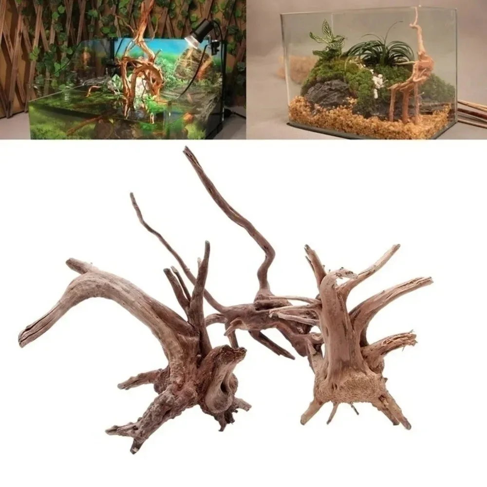 Madera flotante en acuario-plantado