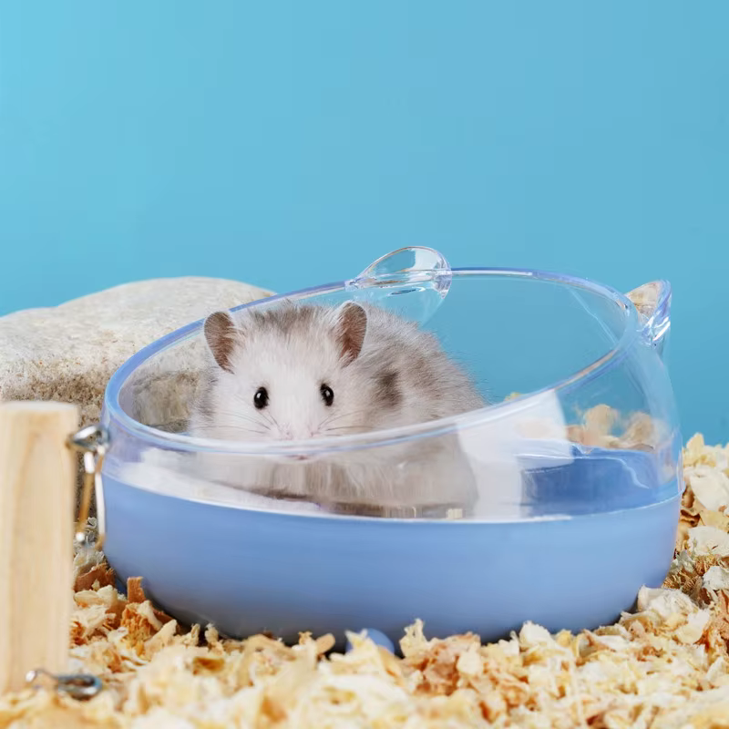 Caja de arena antisalpicaduras para hámster, chinchillas y gerbillas - imagen 2