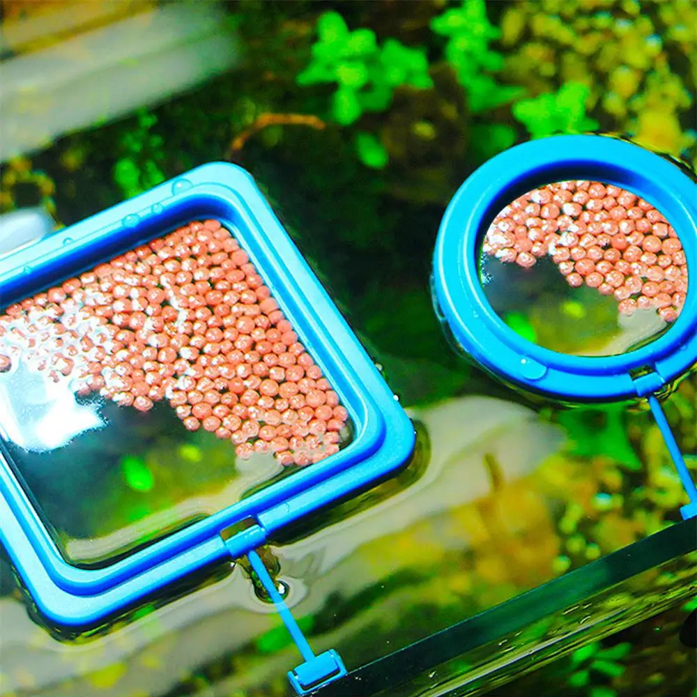 Anillos flotantes azules para alimentar peces en el acuario