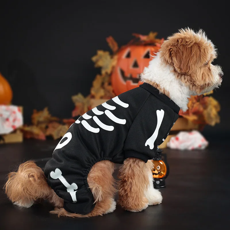 Perro posando en entorno festivo con el vestido