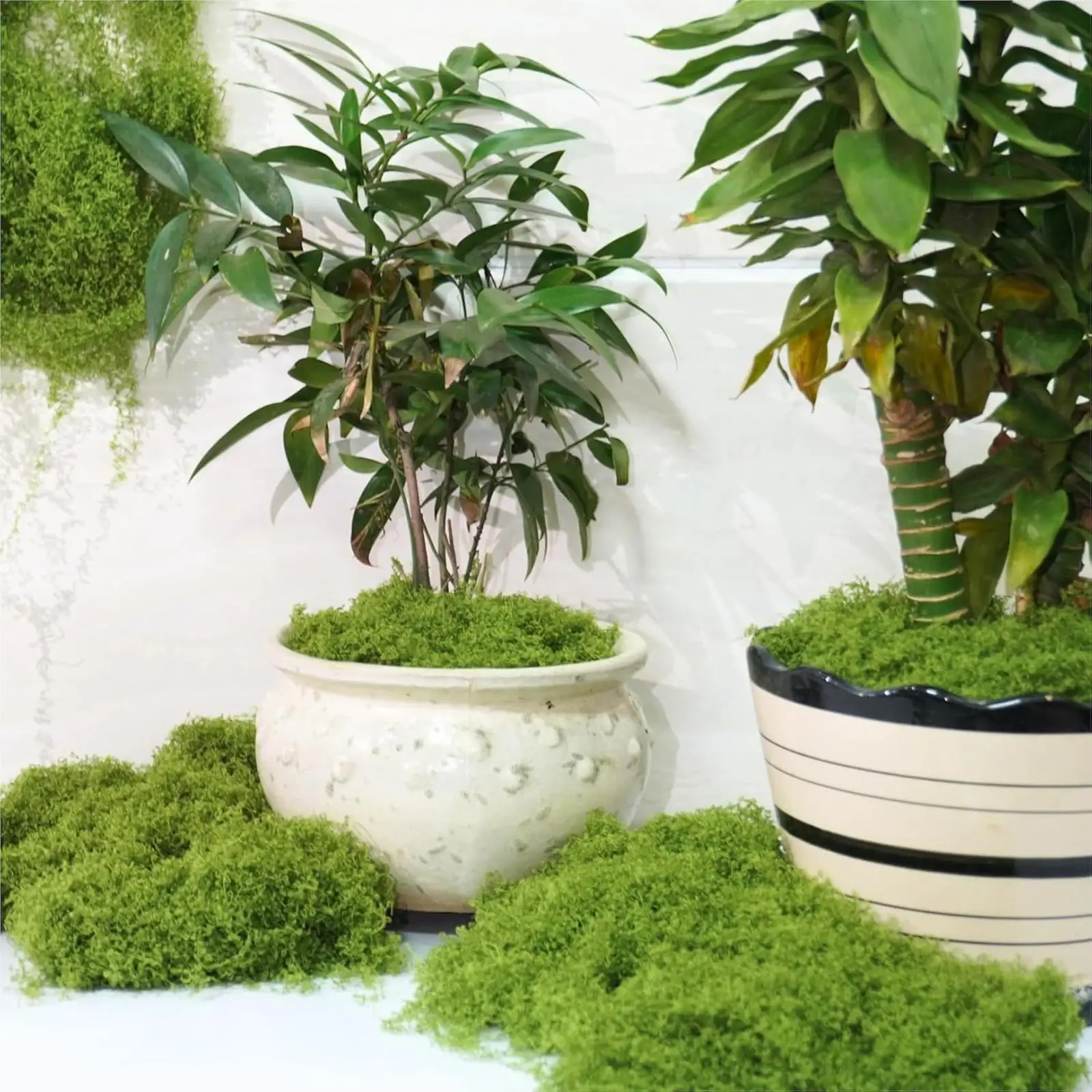 Césped Artificial de Nailon para Gatos y Perros – Tapete Decorativo - imagen 5